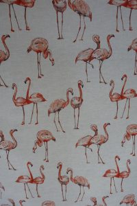 Flamingos